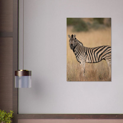 5462c7d4-ecc6-4989-aa9d-2a7475b90e12