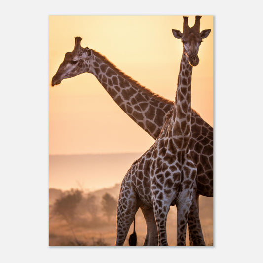 da057f09-5858-4215-96d3-723bcc1a384f